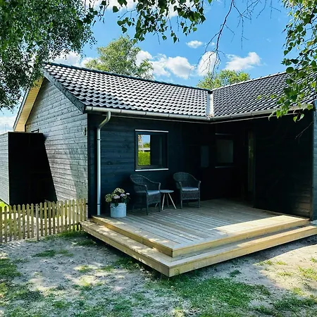 Classic Near Forest And In Grenaa